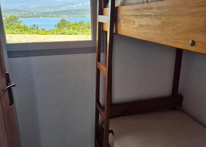 Altaria פורטו-וישיו